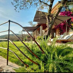  Villa A Casa Di Olivo